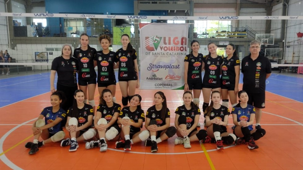 Vôlei